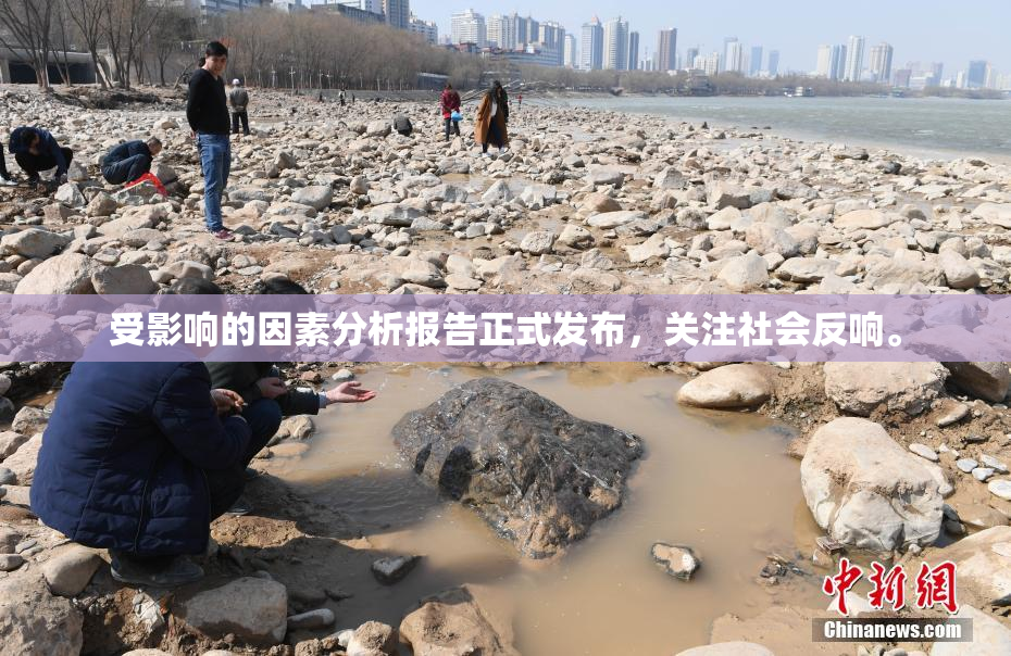 受影响的因素分析报告正式发布，关注社会反响。