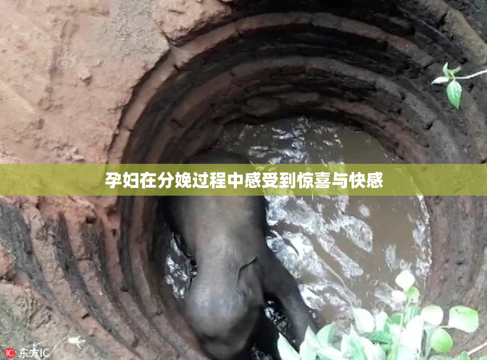 孕妇在分娩过程中感受到惊喜与快感