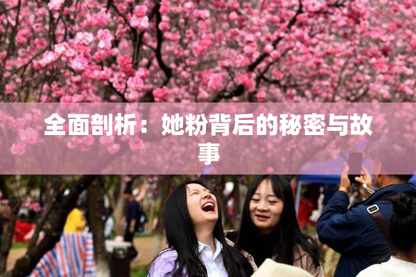 全面剖析：她粉背后的秘密与故事