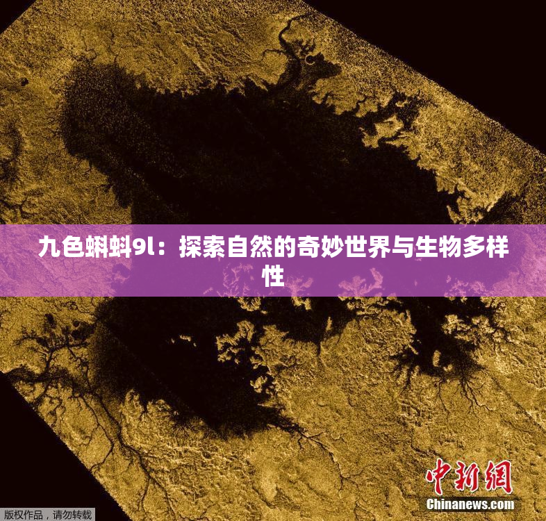 九色蝌蚪9l：探索自然的奇妙世界与生物多样性