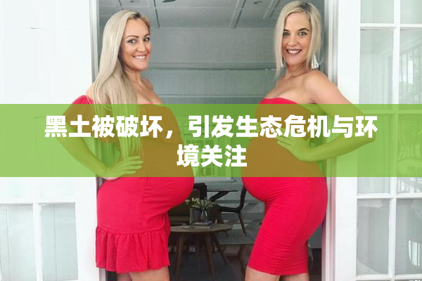 黑土被破坏，引发生态危机与环境关注