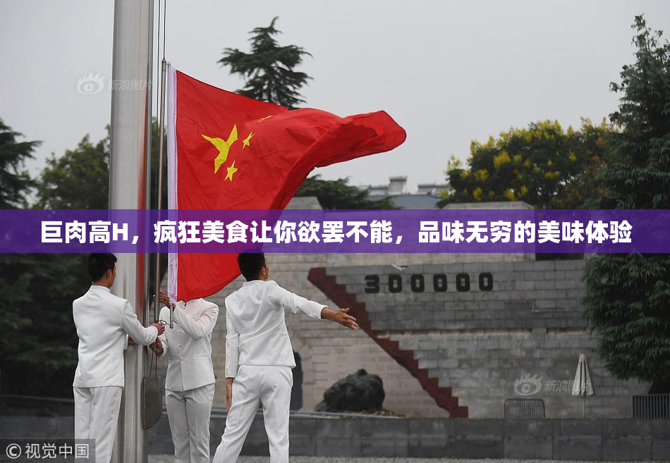巨肉高H，疯狂美食让你欲罢不能，品味无穷的美味体验