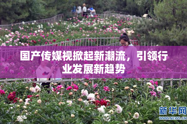 国产传媒视掀起新潮流，引领行业发展新趋势