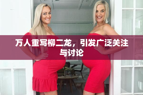 万人重写柳二龙，引发广泛关注与讨论