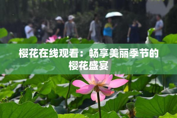 樱花在线观看：畅享美丽季节的樱花盛宴