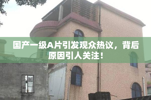 国产一级A片引发观众热议，背后原因引人关注！