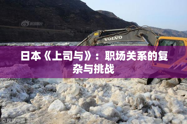 日本《上司与》：职场关系的复杂与挑战