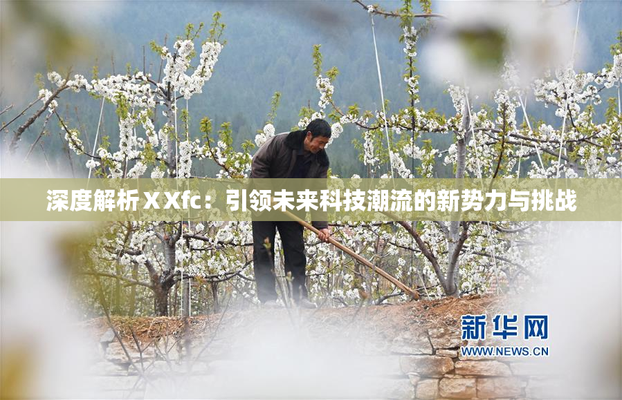 深度解析ⅩXfc：引领未来科技潮流的新势力与挑战