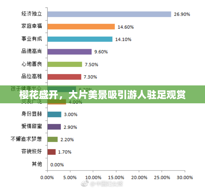 樱花盛开，大片美景吸引游人驻足观赏
