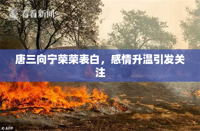唐三向宁荣荣表白，感情升温引发关注