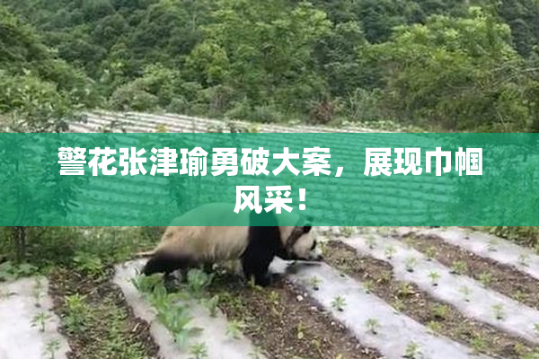 警花张津瑜勇破大案，展现巾帼风采！
