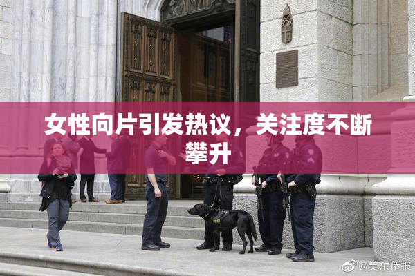 女性向片引发热议，关注度不断攀升
