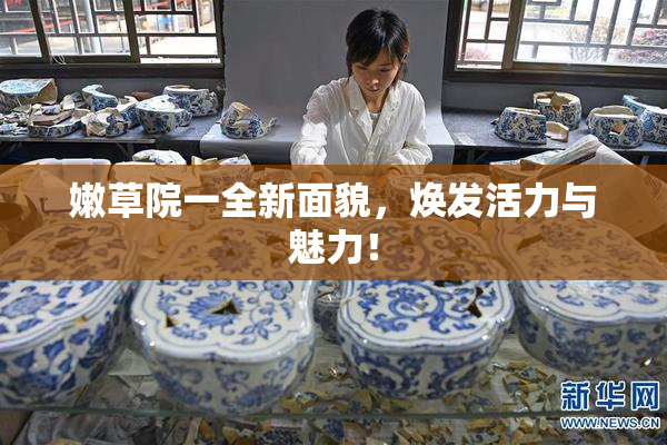 嫩草院一全新面貌，焕发活力与魅力！