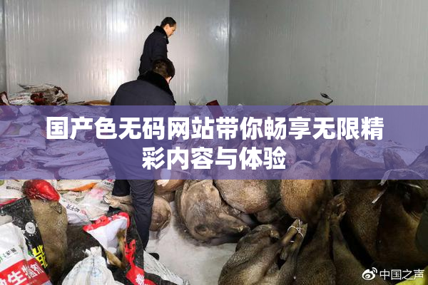 国产色无码网站带你畅享无限精彩内容与体验