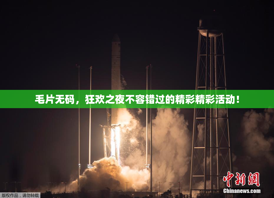 毛片无码，狂欢之夜不容错过的精彩精彩活动！