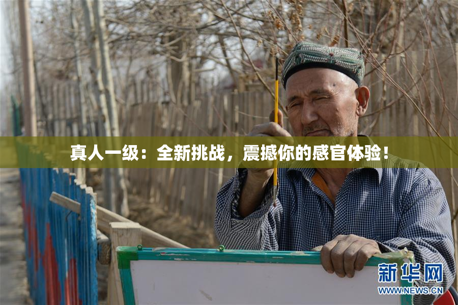 真人一级：全新挑战，震撼你的感官体验！