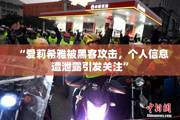 “爱莉希雅被黑客攻击，个人信息遭泄露引发关注”