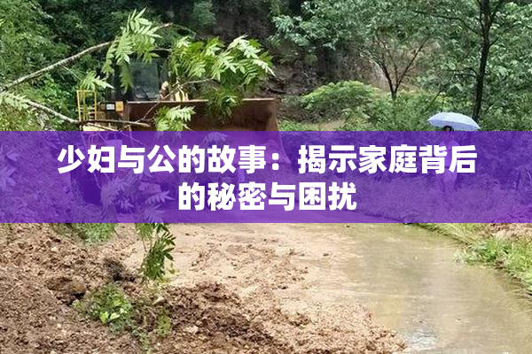 少妇与公的故事：揭示家庭背后的秘密与困扰
