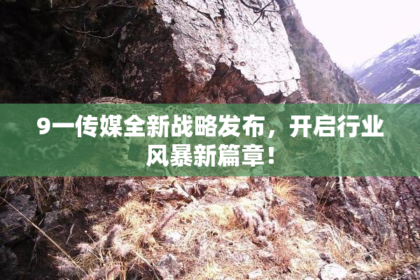 9一传媒全新战略发布，开启行业风暴新篇章！