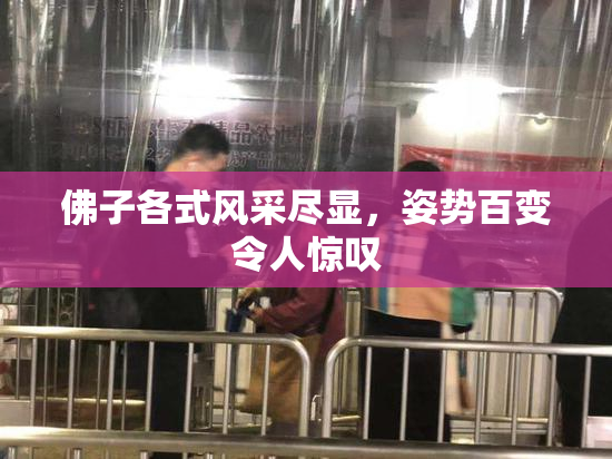 佛子各式风采尽显，姿势百变令人惊叹