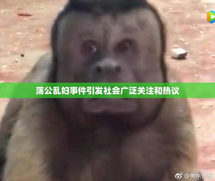荡公乱妇事件引发社会广泛关注和热议
