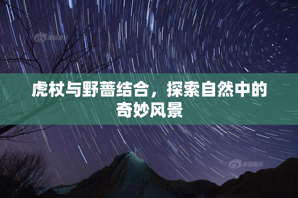 虎杖与野蔷结合，探索自然中的奇妙风景
