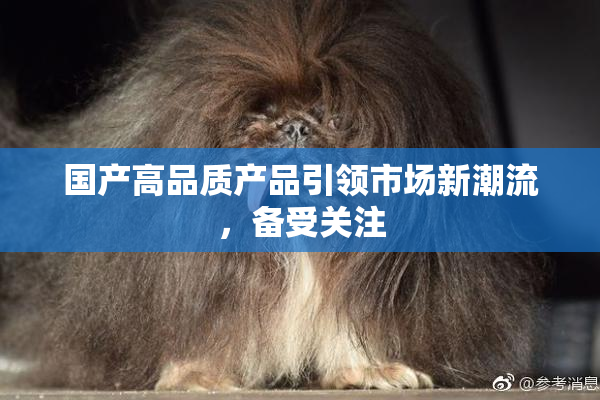国产高品质产品引领市场新潮流，备受关注