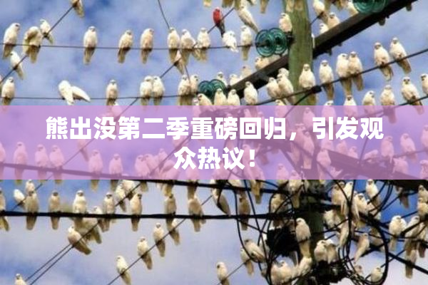 熊出没第二季重磅回归，引发观众热议！