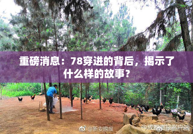 重磅消息：78穿进的背后，揭示了什么样的故事？