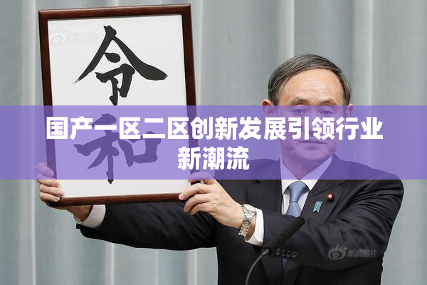 国产一区二区创新发展引领行业新潮流