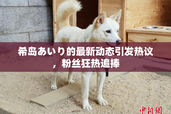 希岛あいり的最新动态引发热议，粉丝狂热追捧