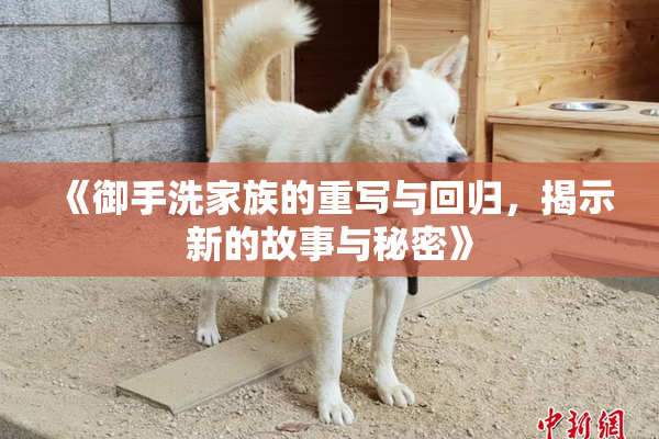 《御手洗家族的重写与回归，揭示新的故事与秘密》