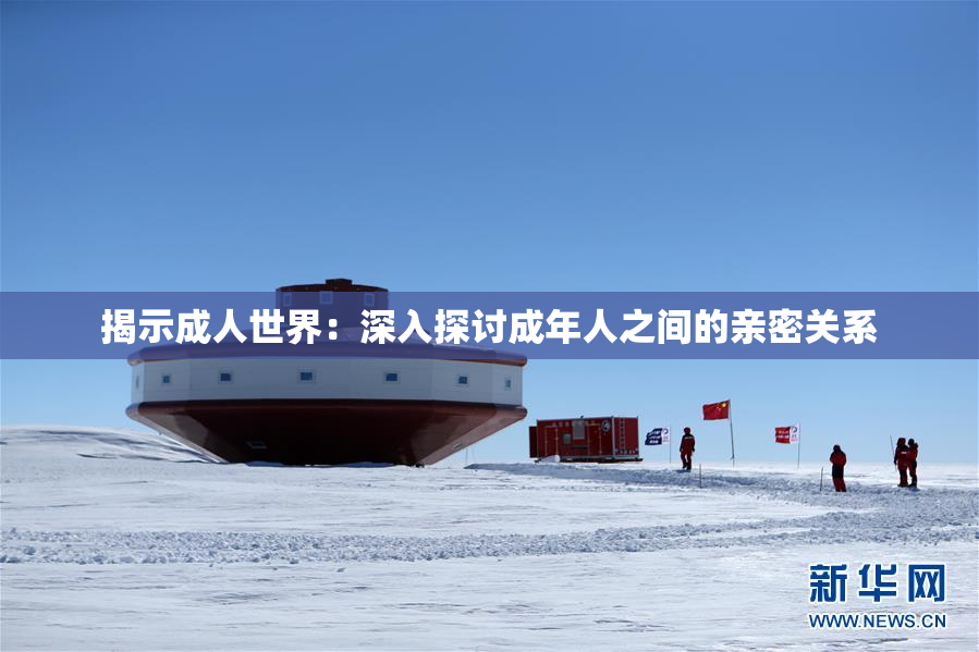 揭示成人世界：深入探讨成年人之间的亲密关系