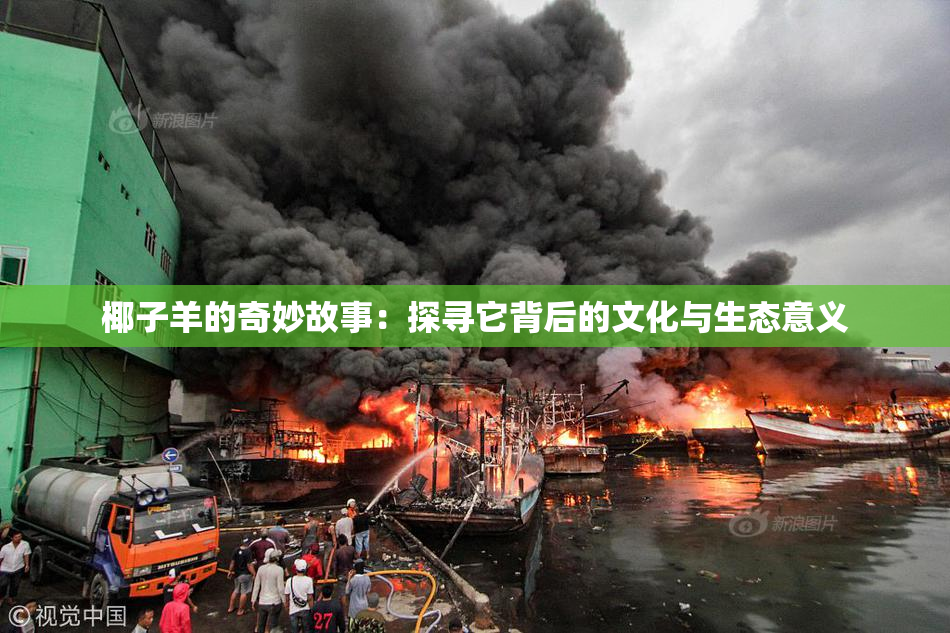 椰子羊的奇妙故事：探寻它背后的文化与生态意义