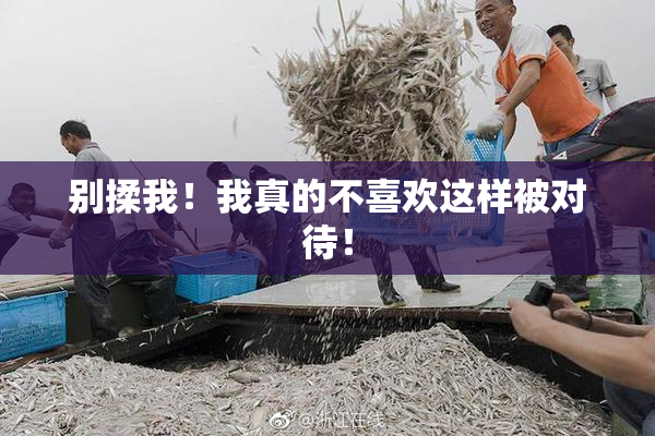 别揉我！我真的不喜欢这样被对待！