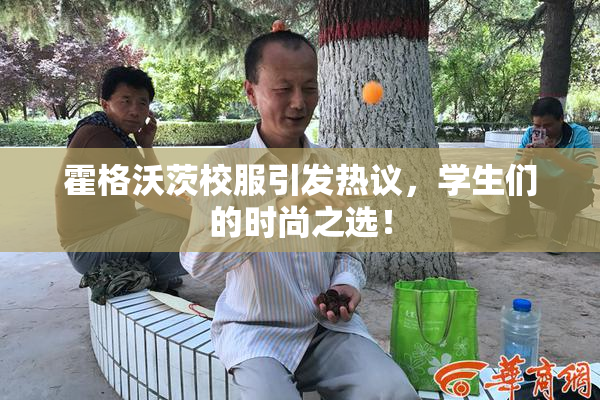 霍格沃茨校服引发热议，学生们的时尚之选！