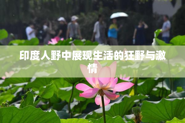 印度人野中展现生活的狂野与激情