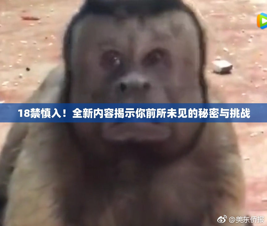 18禁慎入！全新内容揭示你前所未见的秘密与挑战