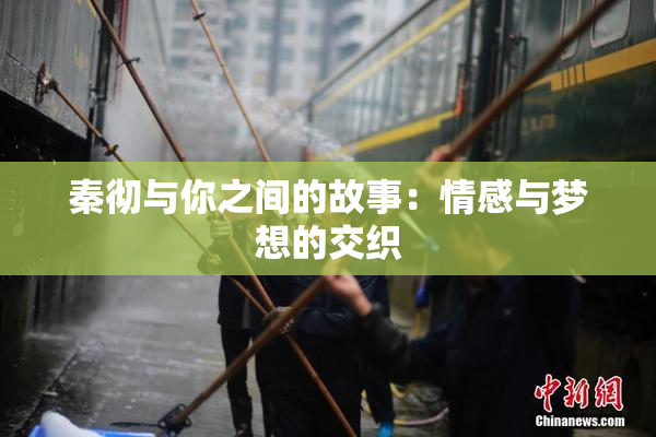 秦彻与你之间的故事：情感与梦想的交织