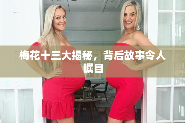 梅花十三大揭秘，背后故事令人瞩目