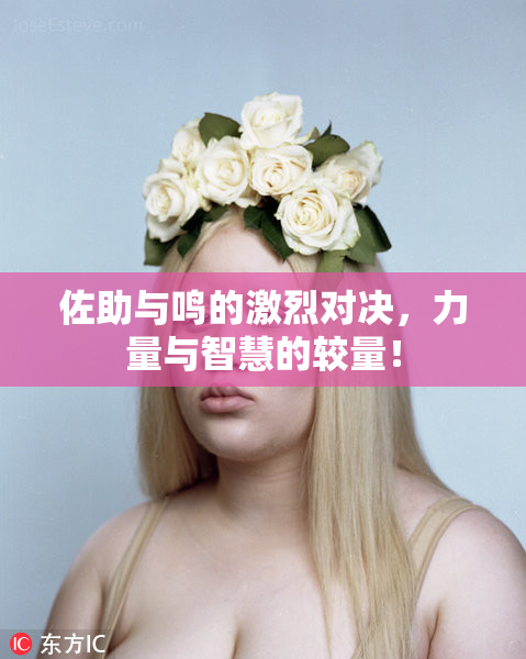 佐助与鸣的激烈对决，力量与智慧的较量！