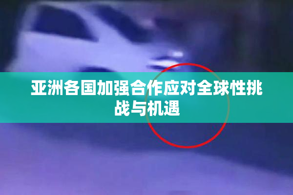 亚洲各国加强合作应对全球性挑战与机遇