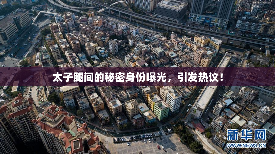 太子腿间的秘密身份曝光，引发热议！