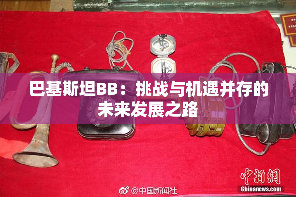 巴基斯坦BB：挑战与机遇并存的未来发展之路