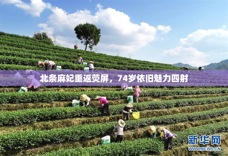 北条麻妃重返荧屏，74岁依旧魅力四射