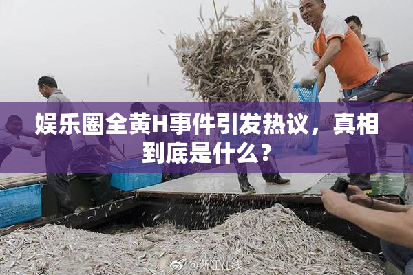娱乐圈全黄H事件引发热议，真相到底是什么？