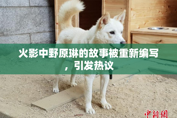火影中野原琳的故事被重新编写，引发热议
