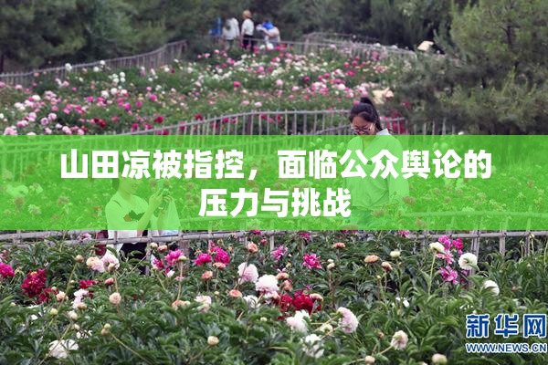 山田凉被指控，面临公众舆论的压力与挑战