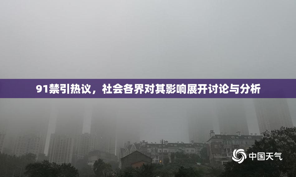 91禁引热议，社会各界对其影响展开讨论与分析