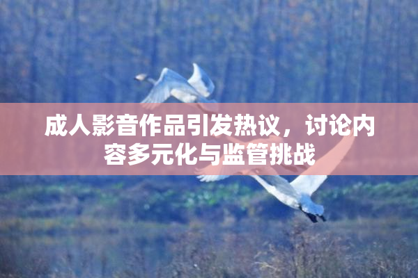 成人影音作品引发热议，讨论内容多元化与监管挑战
